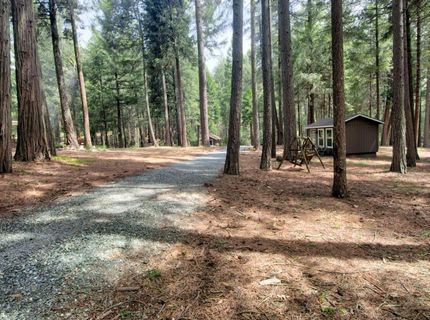 332 Coyote Ct, Georgetown, CA 95634 Photo
