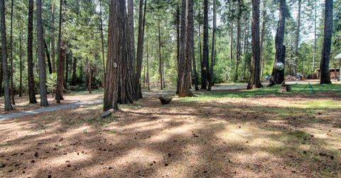 332 Coyote Ct, Georgetown, CA 95634 Photo
