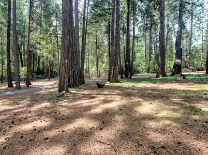 332 Coyote Ct, Georgetown, CA 95634 Photo