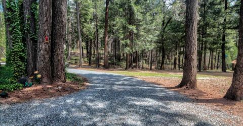 332 Coyote Ct, Georgetown, CA 95634 Photo