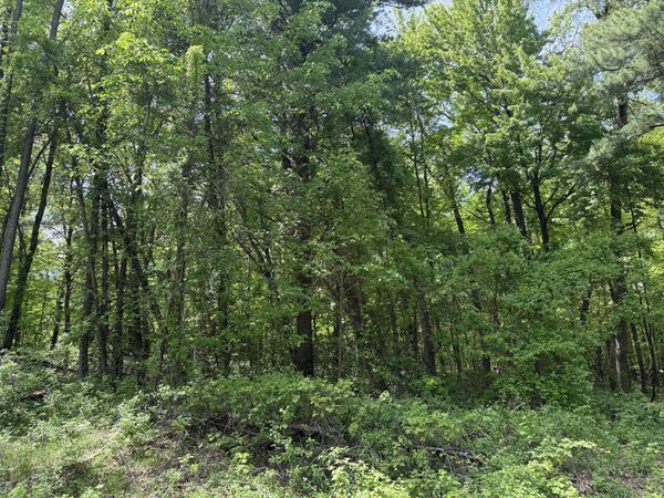 TBD Bailey Drive NE, Ada, MI 49301