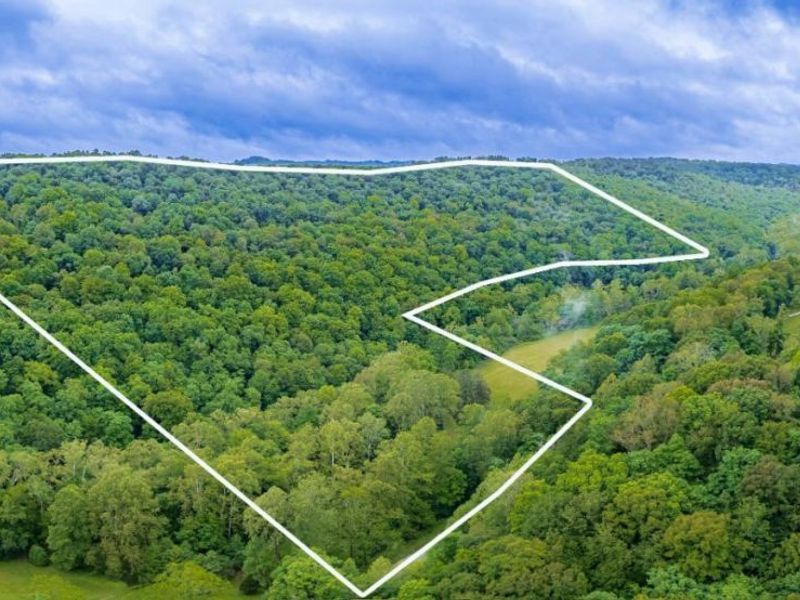 3110 Rocky Fork Road, Otway, OH 45657 Photo 1