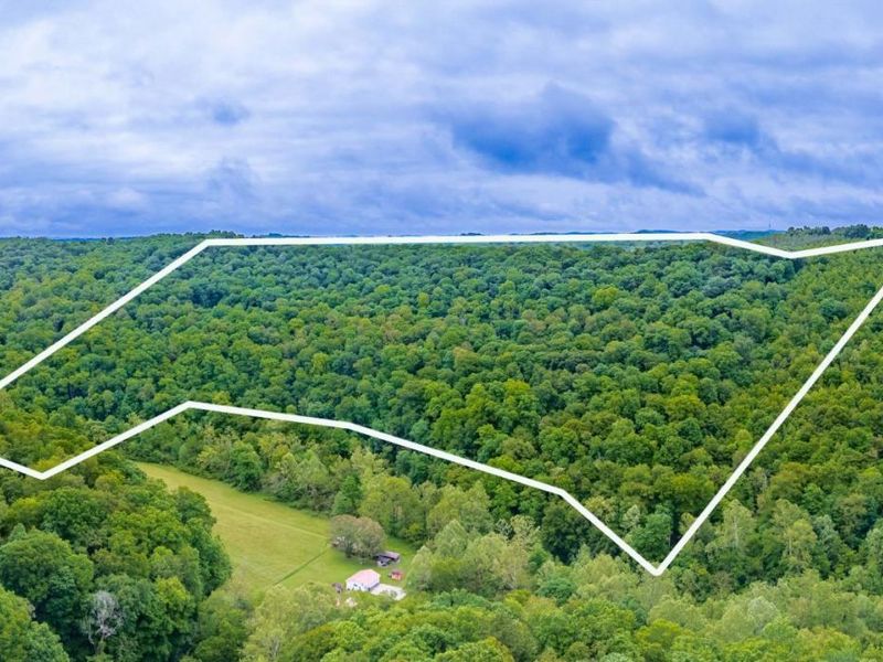 3110 Rocky Fork Road, Otway, OH 45657 Photo 17