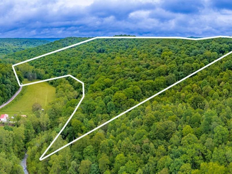 3110 Rocky Fork Road, Otway, OH 45657 Photo 8