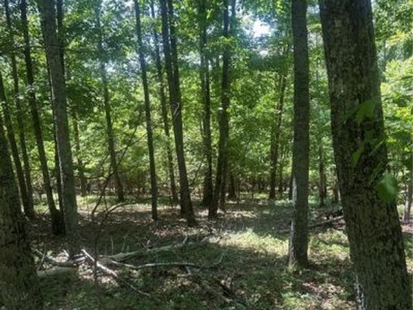 0 Owl Ridge Way , Jasper, GA 30143