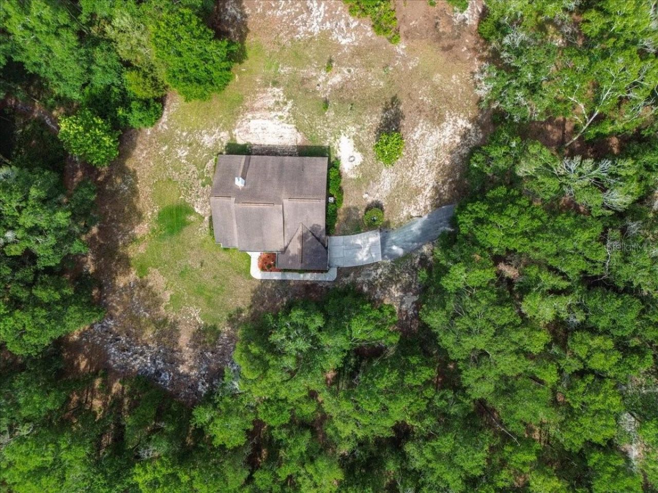 569 NW 40th Avenue, Bell, FL 32619 Photo