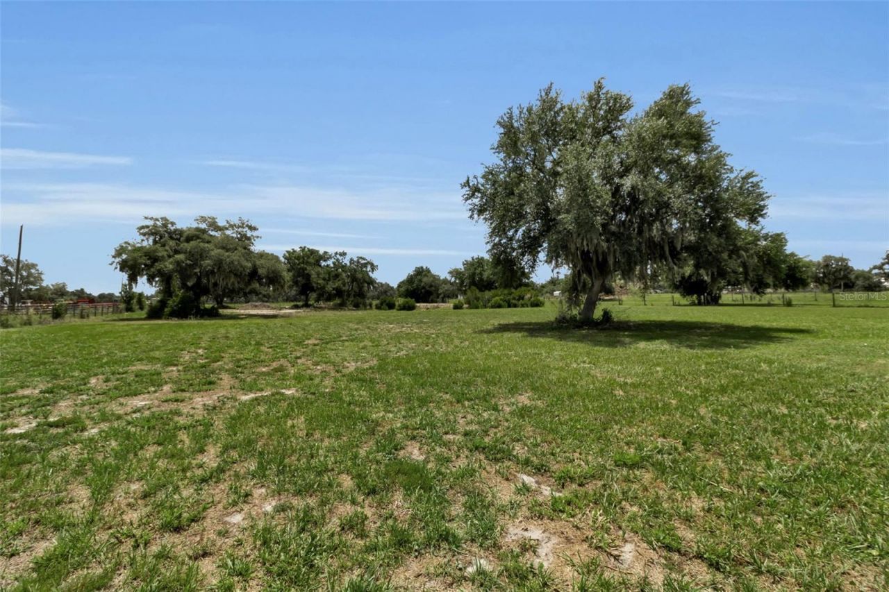 6925 Wauchula Road, Myakka City, FL 34251 Photo
