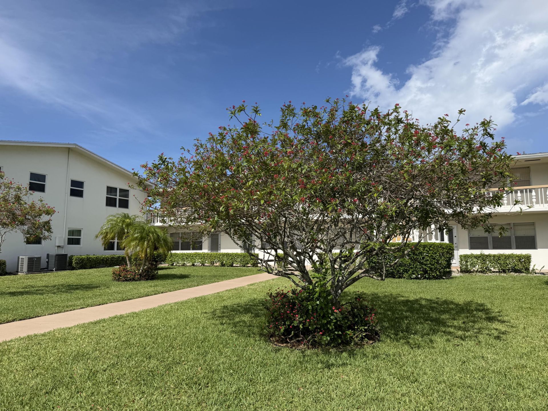 162 Windsor H, West Palm Beach, FL 33417 Photo