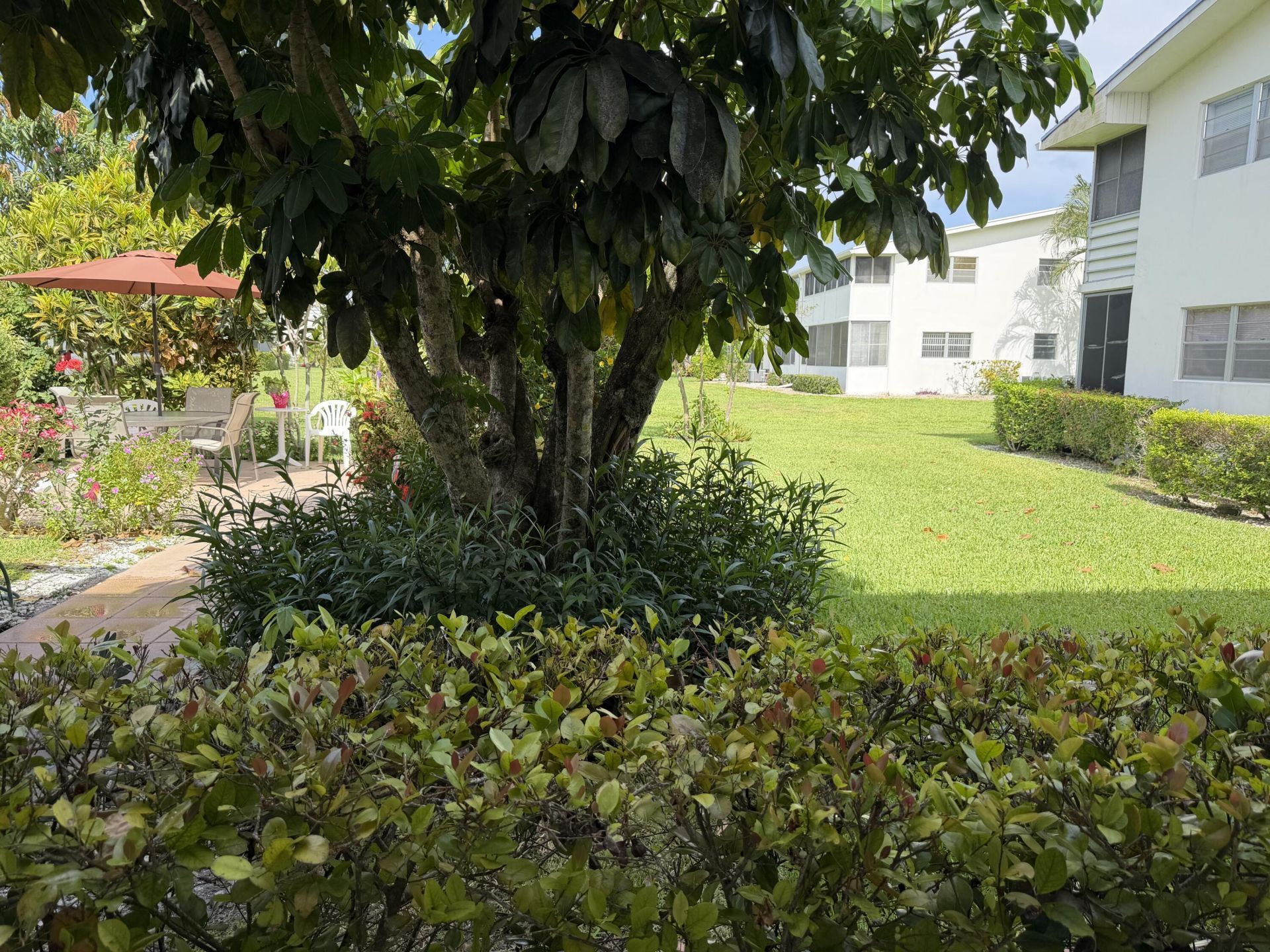 162 Windsor H, West Palm Beach, FL 33417 Photo