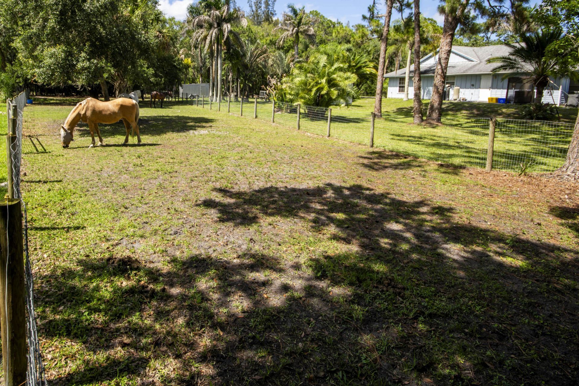 11065 164th Court N, Jupiter, FL 33478 Photo