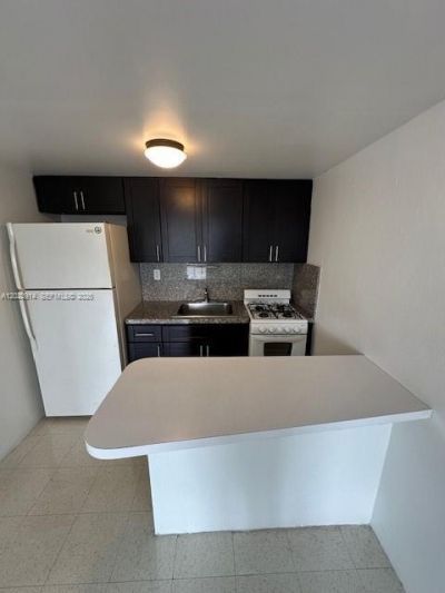 1400 S Douglas Rd , Unit 17, Coral Gables, FL 33134 Photo