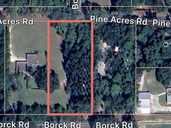 0 Pine Acres Road, Gulf Shores, AL 36542