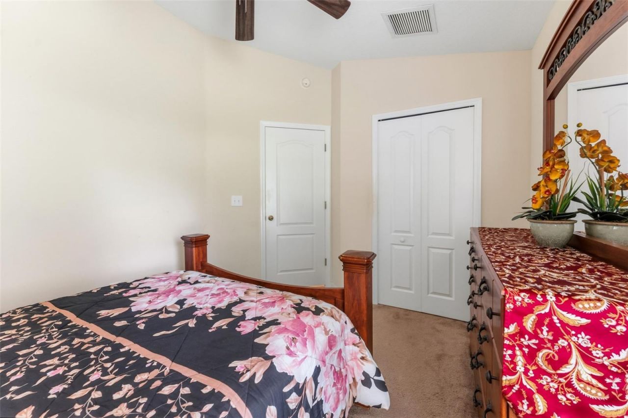 9847 Edmonton Drive, Land O Lakes, FL 34638 Photo