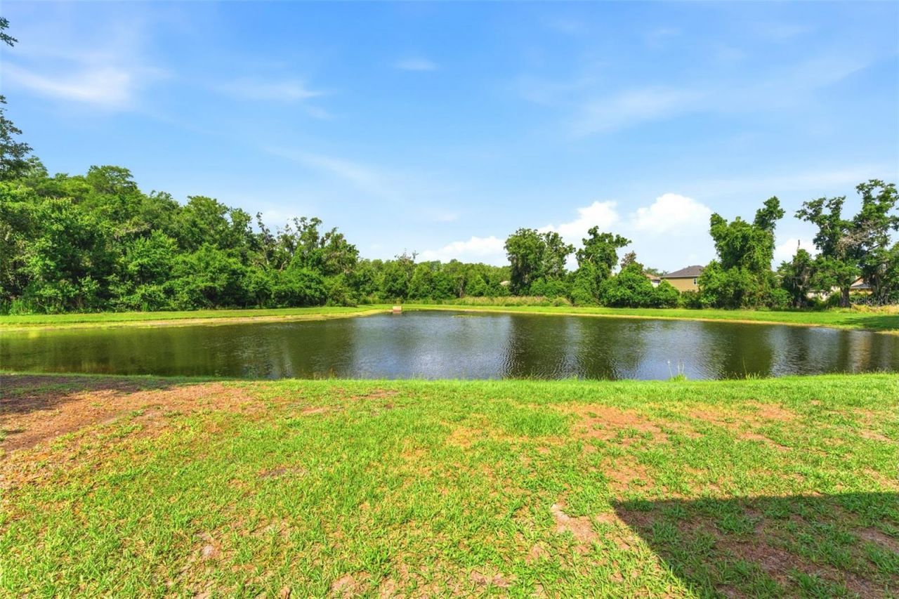 9847 Edmonton Drive, Land O Lakes, FL 34638 Photo