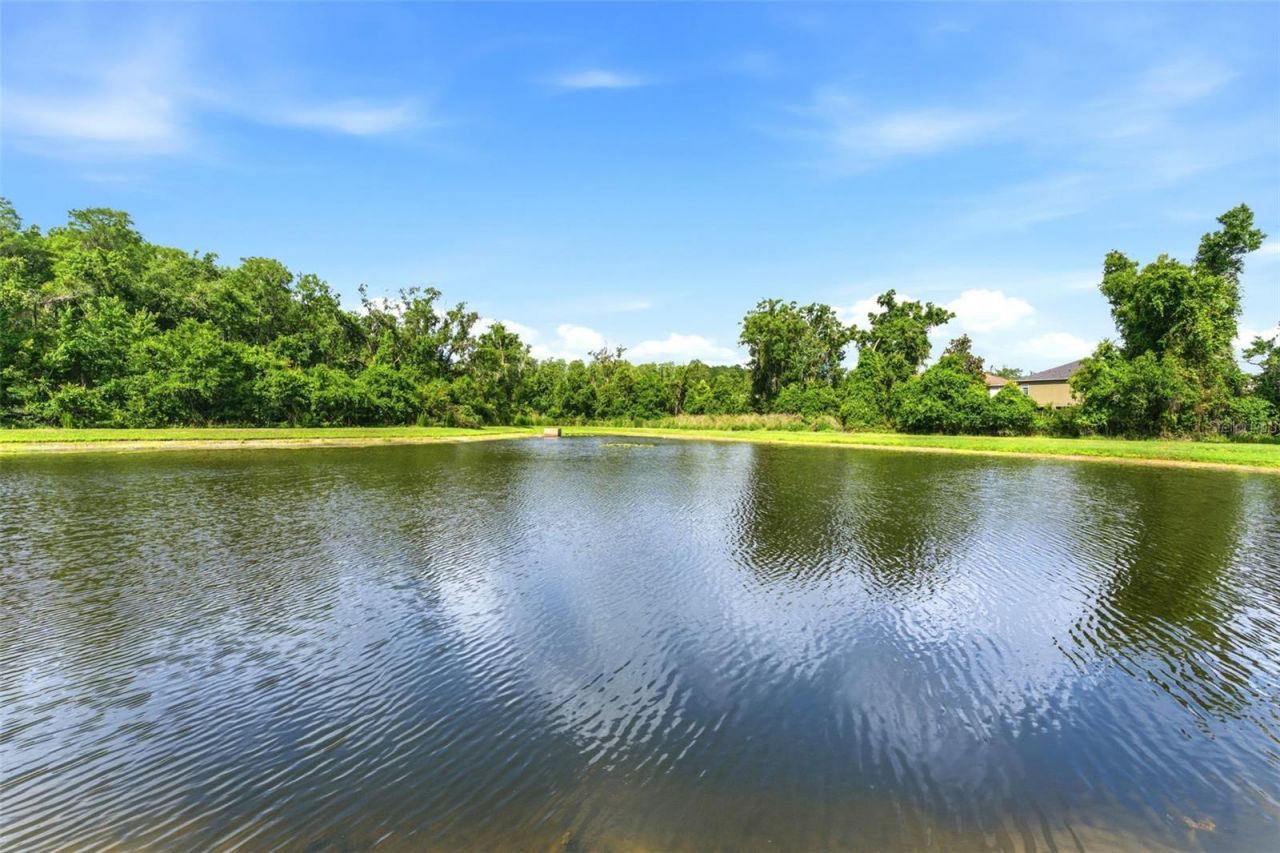 9847 Edmonton Drive, Land O Lakes, FL 34638 Photo