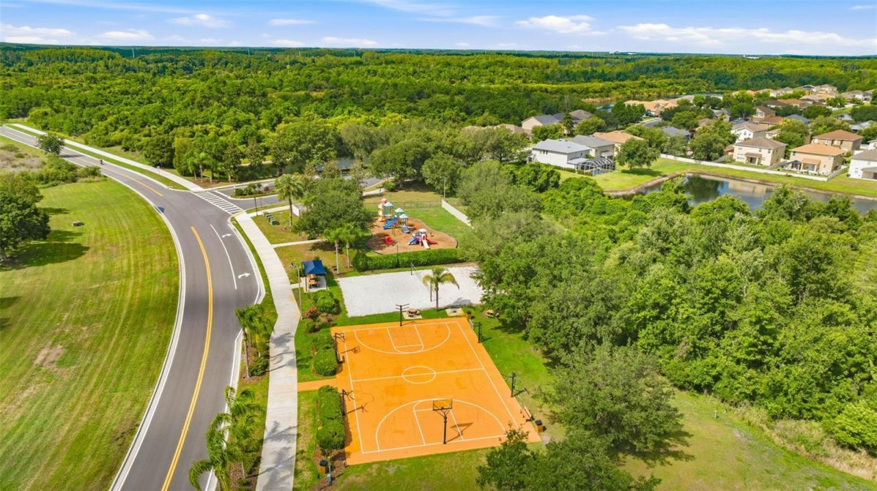 9847 Edmonton Drive, Land O Lakes, FL 34638 Photo