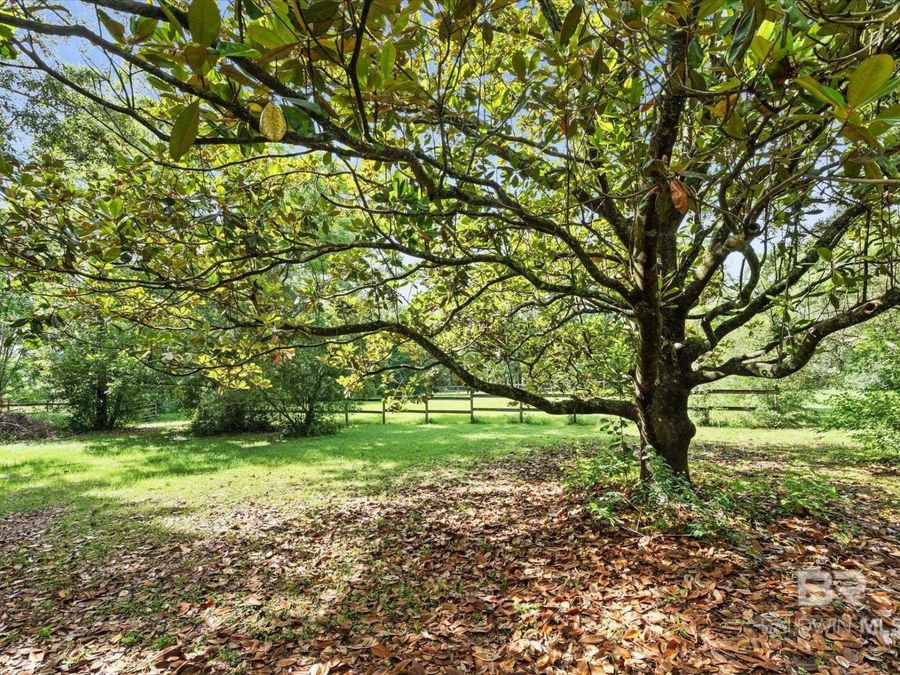 Property Image 51