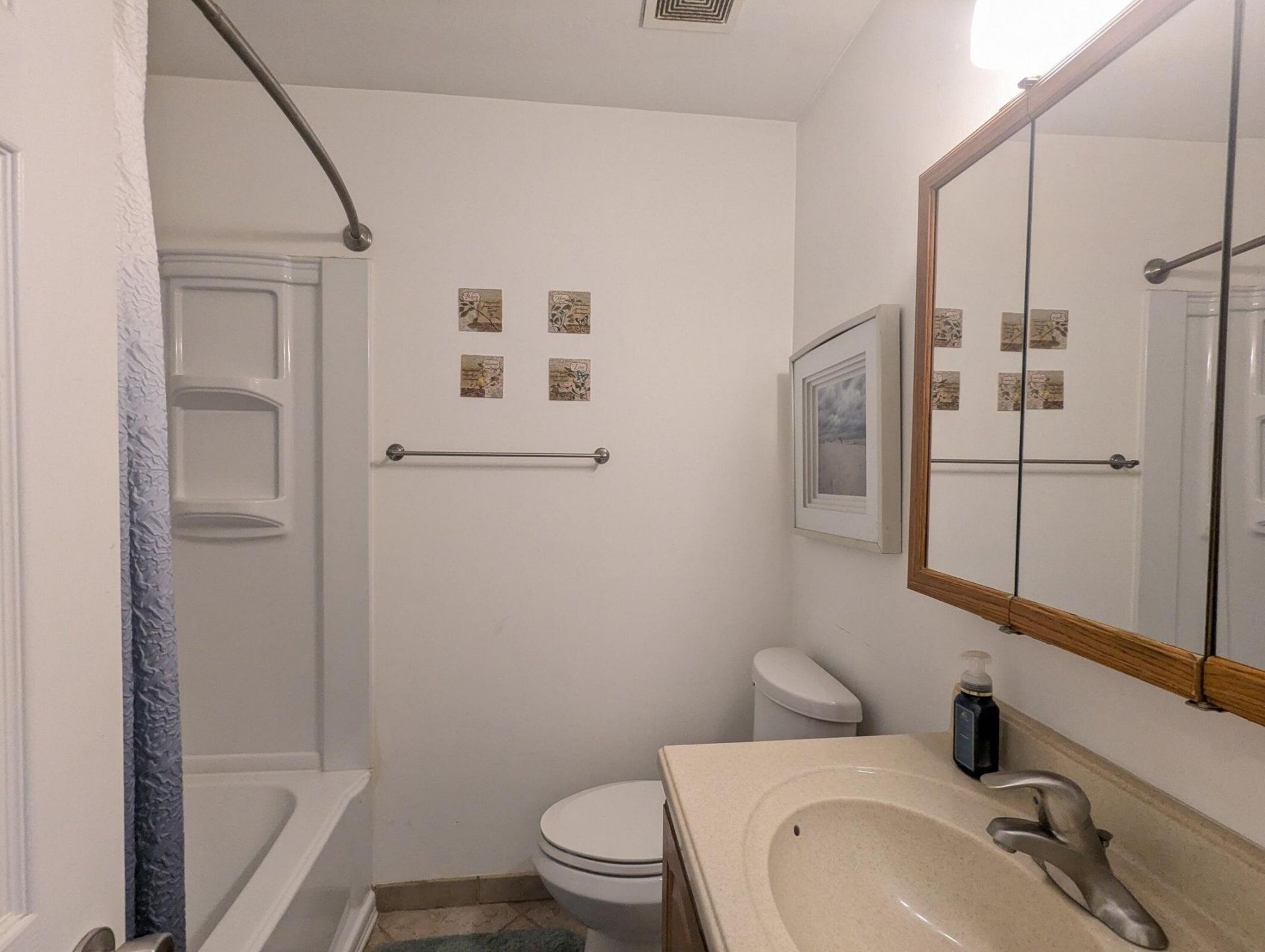 4356 Cheviot Drive Photo 7