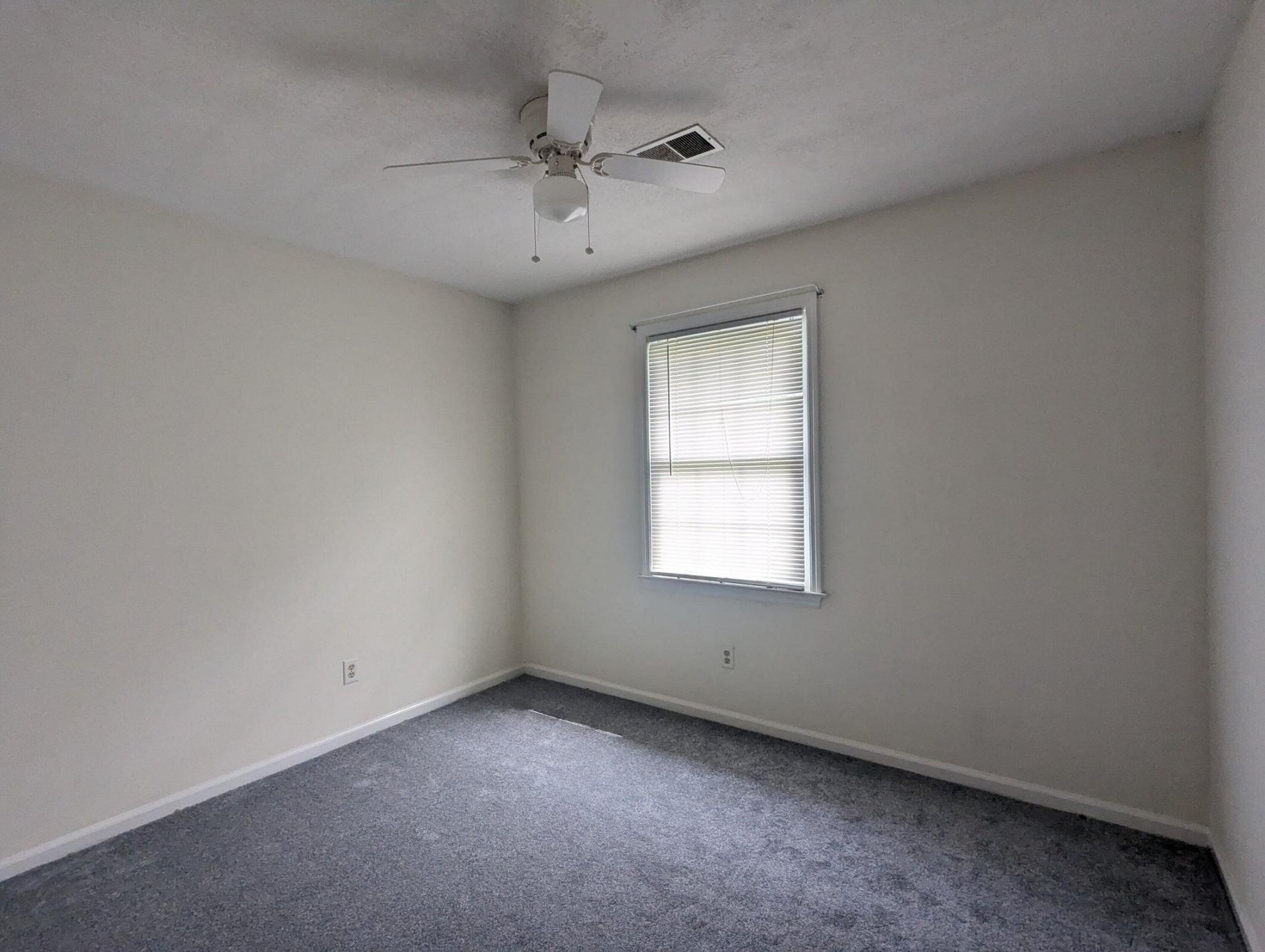 4356 Cheviot Drive Photo 8