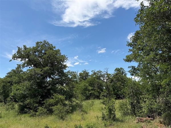 0000 Rux Road , Olney, TX 76374