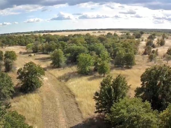 6551 Crooked Crk Road , Bowie, TX 76230