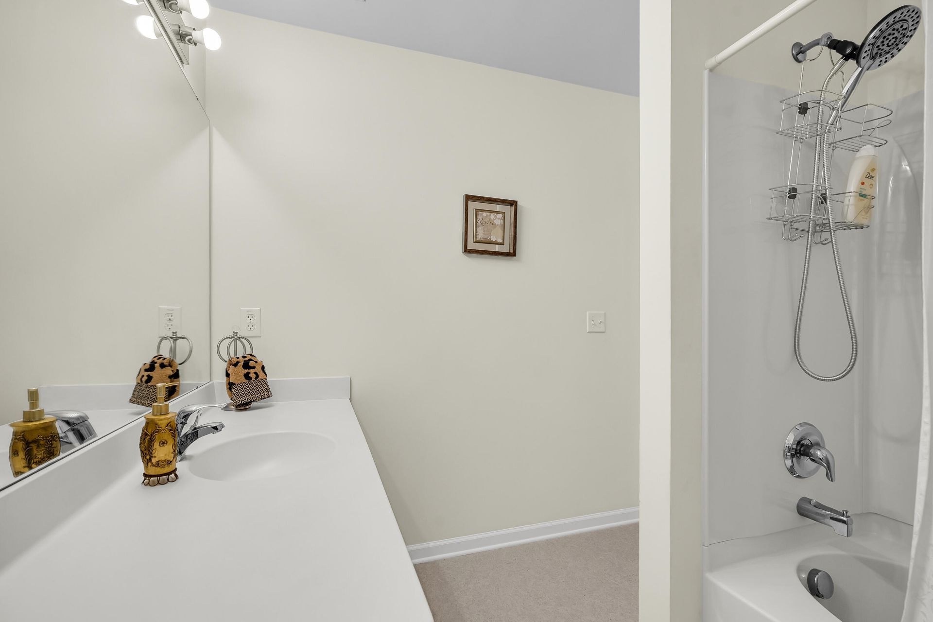 3000 Poplar Grove Place Photo 23