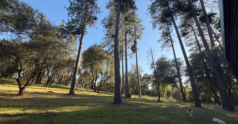 4321 Eden Ln, Fiddletown, CA 95629 Photo