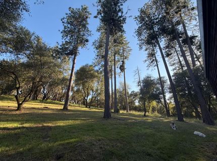 4321 Eden Ln, Fiddletown, CA 95629 Photo