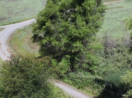 0 Square Nail Trl, Pilot Hill, CA 95664 Photo