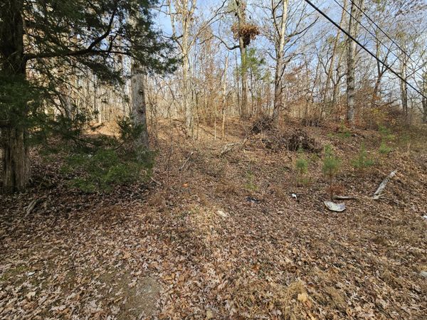 7 Smyrna Road , Unit 7, Evensville, TN 37332
