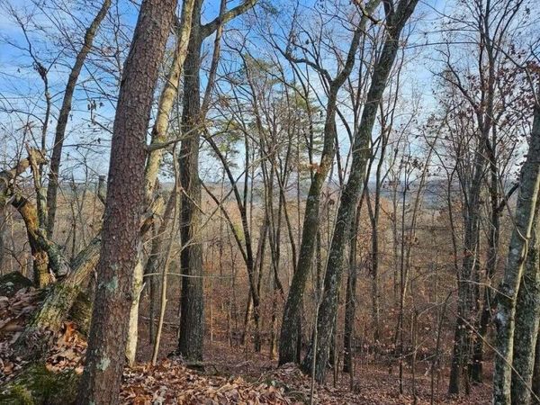 25 Countryside Drive , Unit 25, Evensville, TN 37332