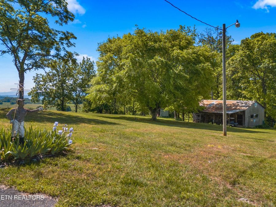 Property Image 45