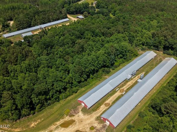 Smithtown Chicora Road, State Line, MS 39362