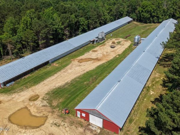 Smithtown Chicora Road, State Line, MS 39362