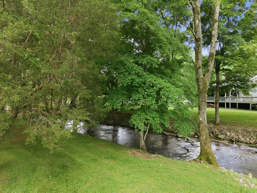 Property Image 58