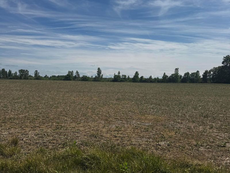 0 Brown Road , Ostrander, OH 43061 Photo 6