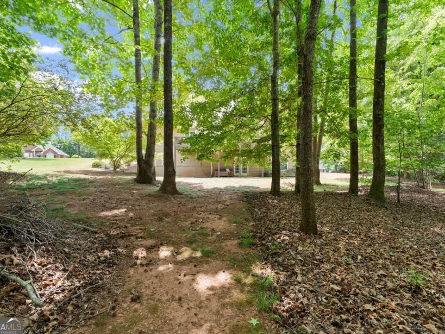 Property Image 62