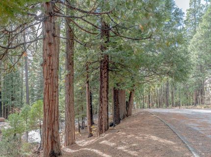 1002 Manuel, Arnold, CA 95223 Photo