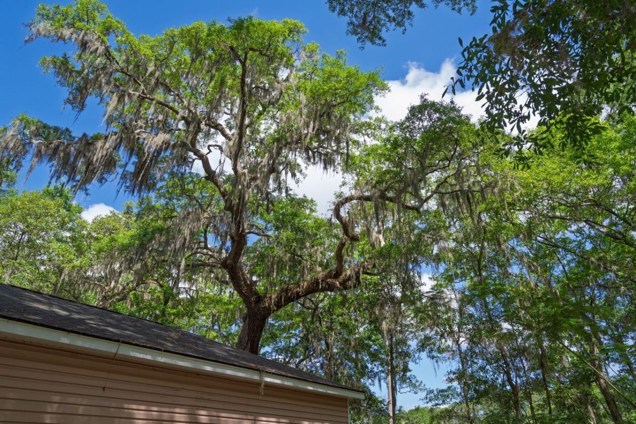 8362 Chisolm Plantation Road Photo 40