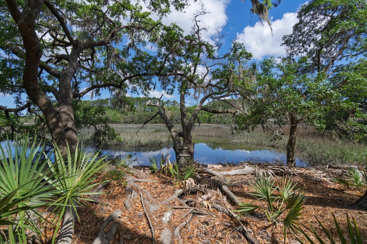 8362 Chisolm Plantation Road Photo 42