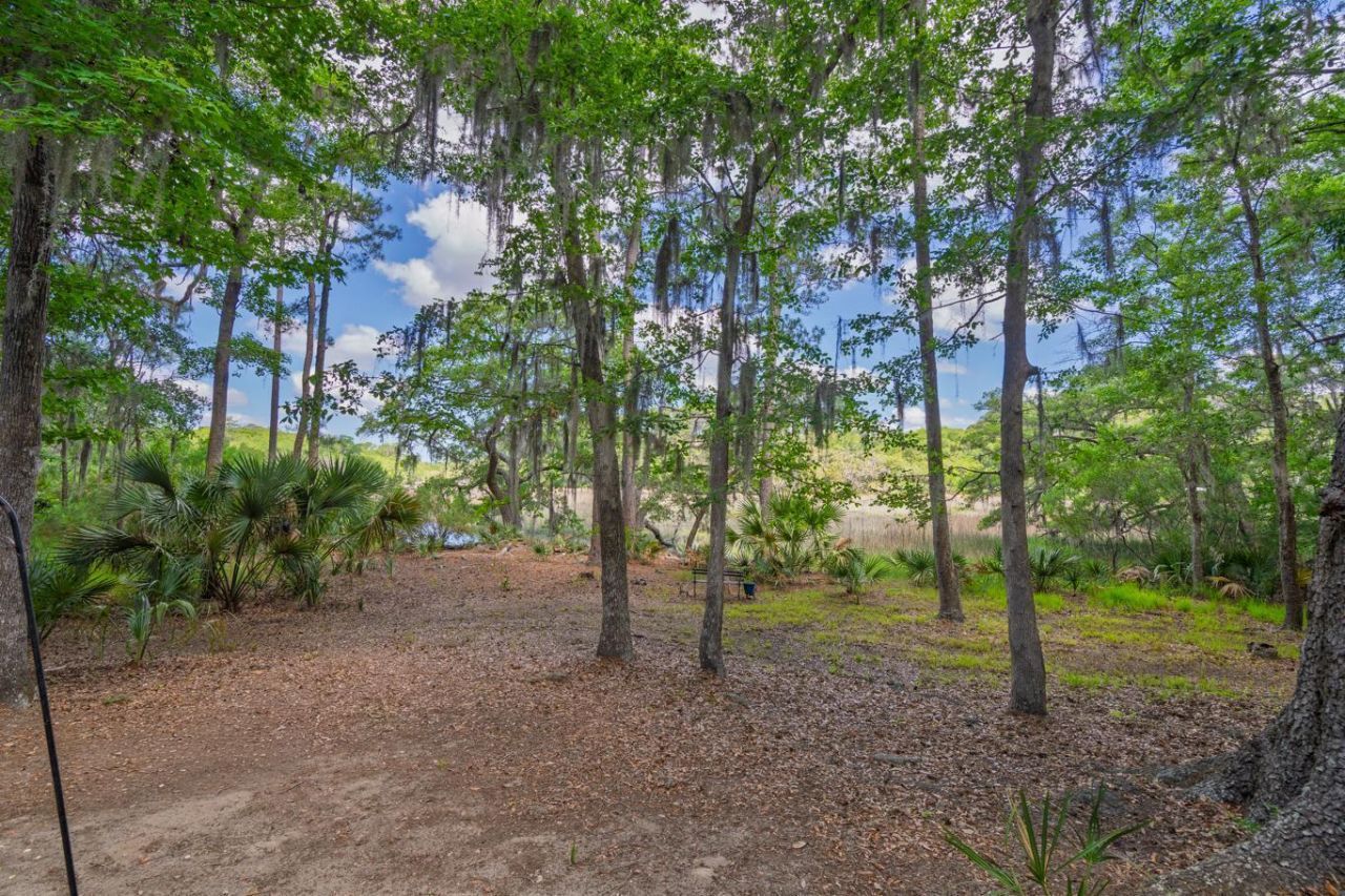 8362 Chisolm Plantation Road Photo 43