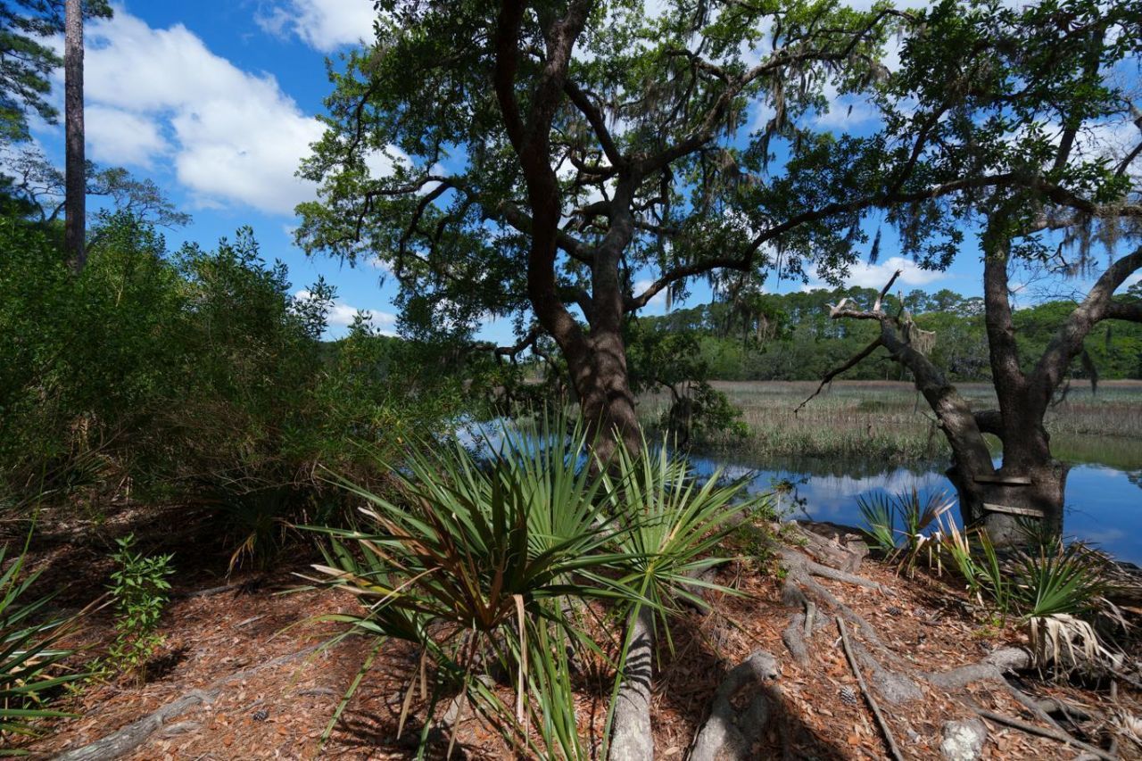 8362 Chisolm Plantation Road Photo 45