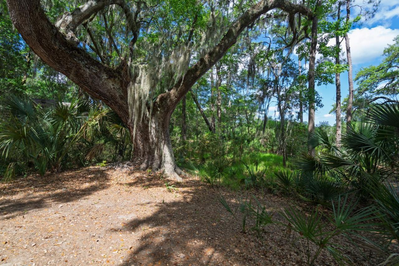 8362 Chisolm Plantation Road Photo 47