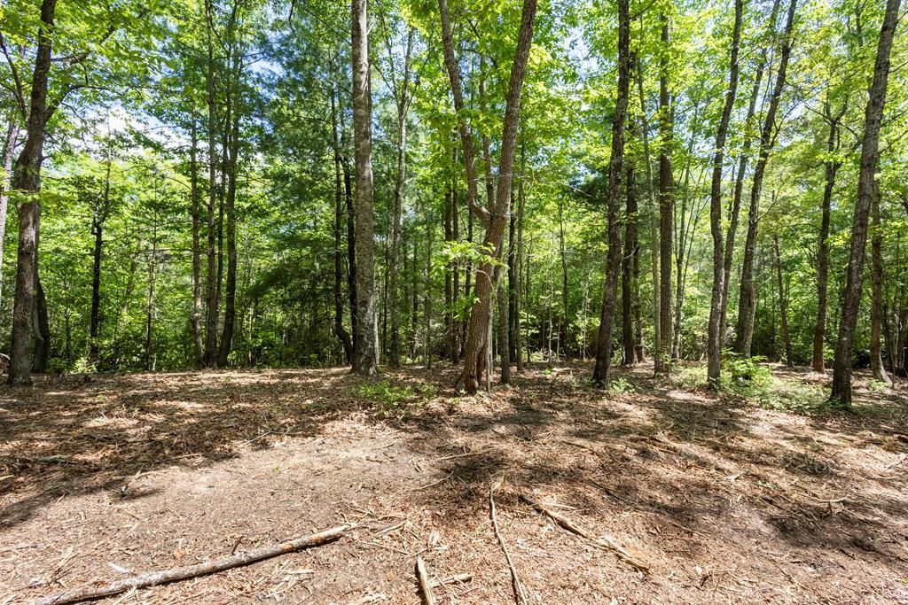 4.3 Ac Donley Rd, Murphy, NC 28906 Main Photo