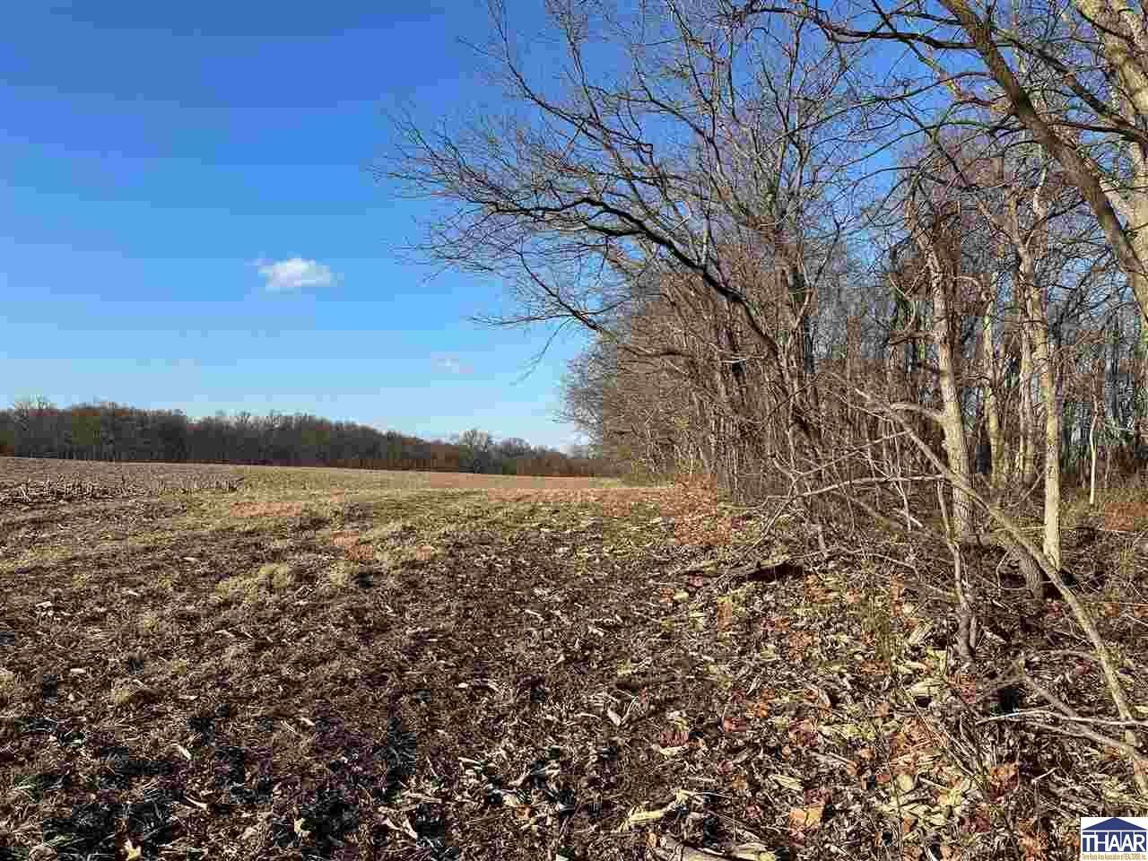 Lot #3 N 100 W, Perrysville, IN 47974 Main Photo