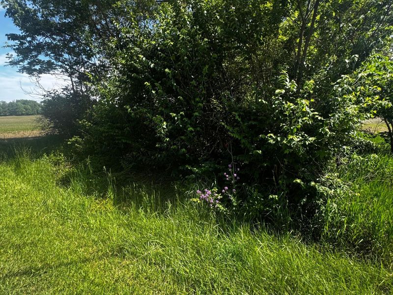 0 Brown Road, Ostrander, OH 43061 Photo 2