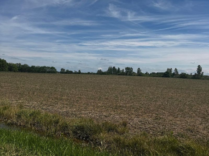 0 Brown Road, Ostrander, OH 43061 Photo 5