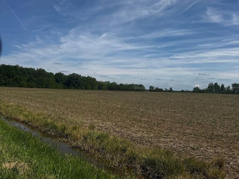 0 Brown Road, Ostrander, OH 43061 Photo 7