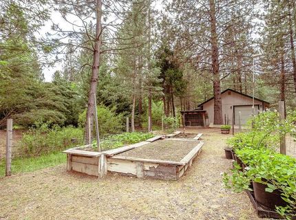 862 Willow Way, Greenville, CA 95947 Photo