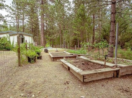 862 Willow Way, Greenville, CA 95947 Photo